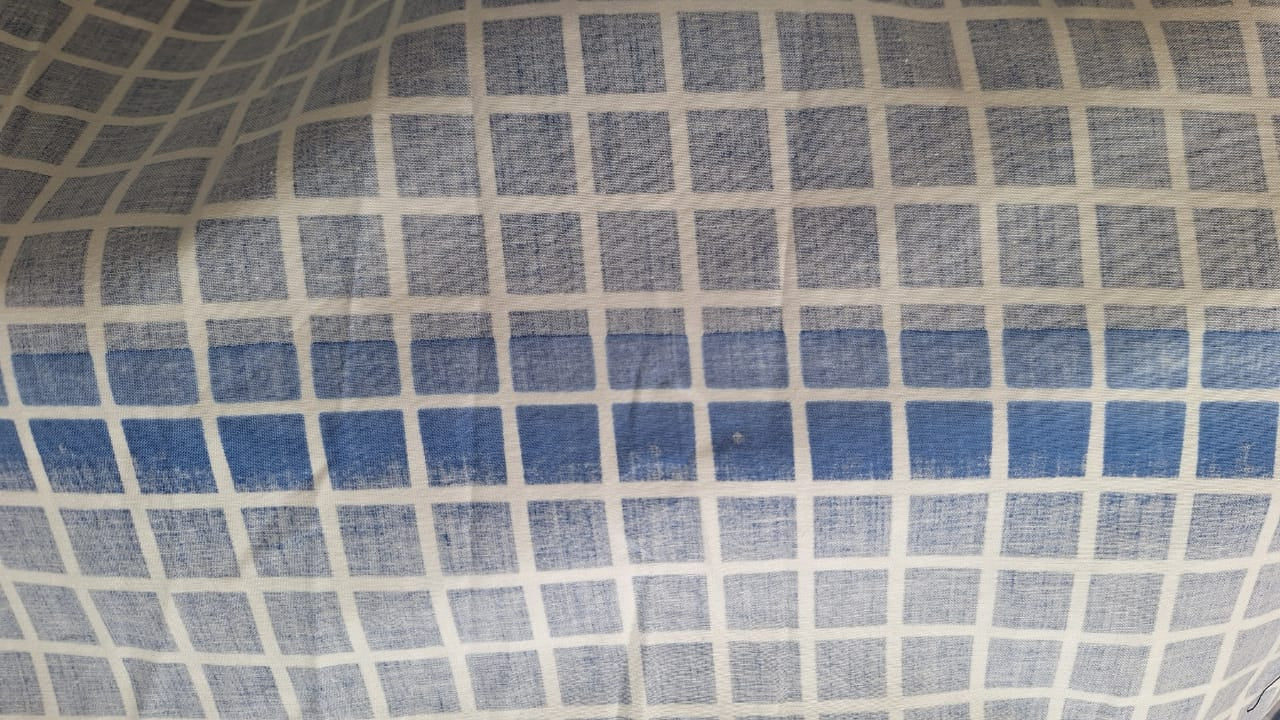MAUD DRESS - COBALT GRID PRINT - FAULT